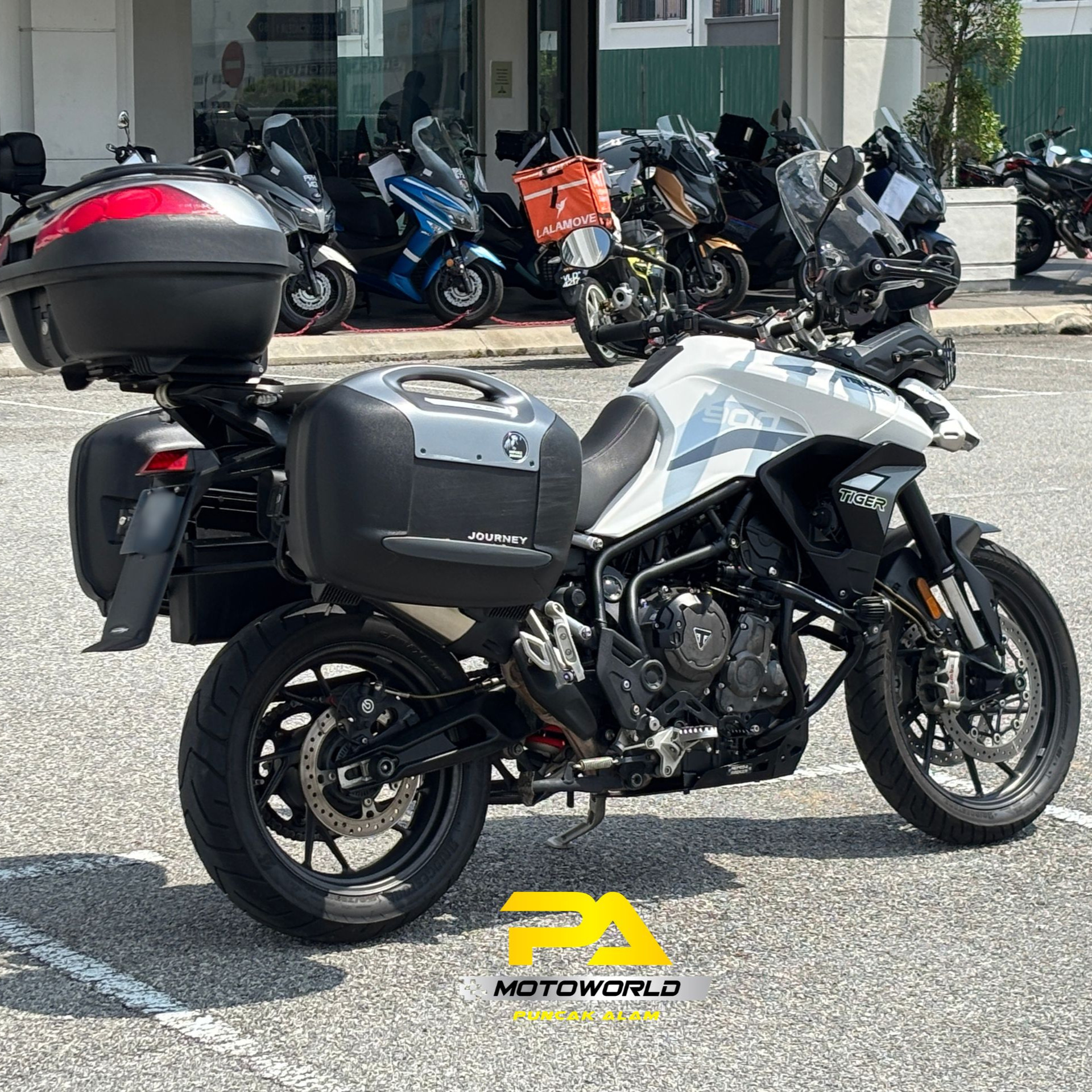 TRIUMPH TIGER 900 GT PRO - Image 2